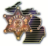 msa