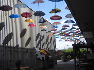 zurich-umbrellas