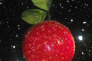 Traverse-City-CherryTBallDrop-300x200