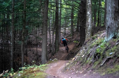 Person mountain biking down a path in a forest.