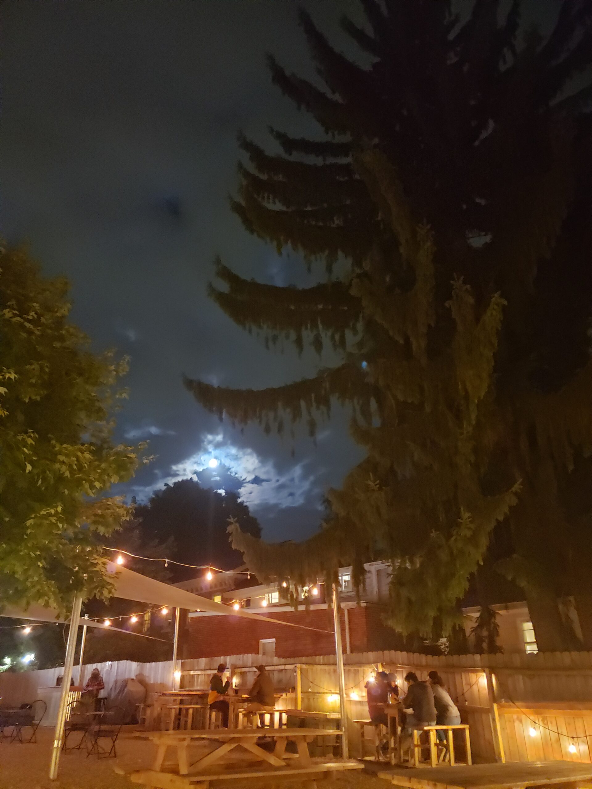 Outdoor Community Gathering